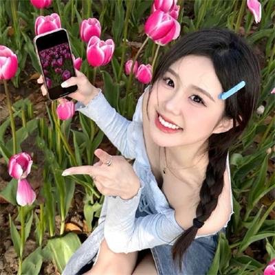 汪喵物语